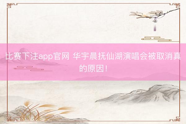 比赛下注app官网 华宇晨抚仙湖演唱会被取消真的原因！